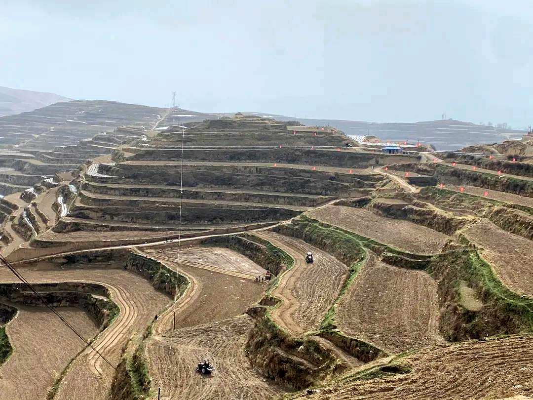 省经作站站长李向东调研宕昌县中药材绿色标准化生产基地建设安排抓点示范工作