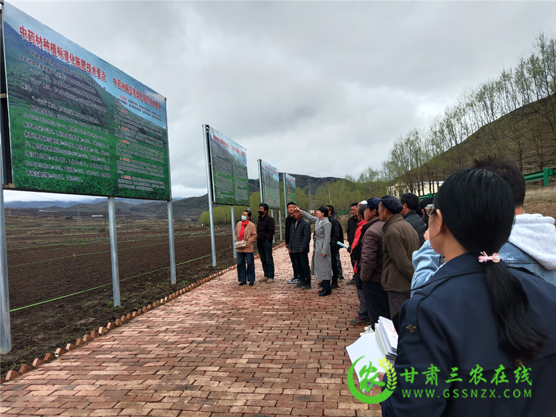 岷县农技中心开展党史学习教育农业实用技术培训活动