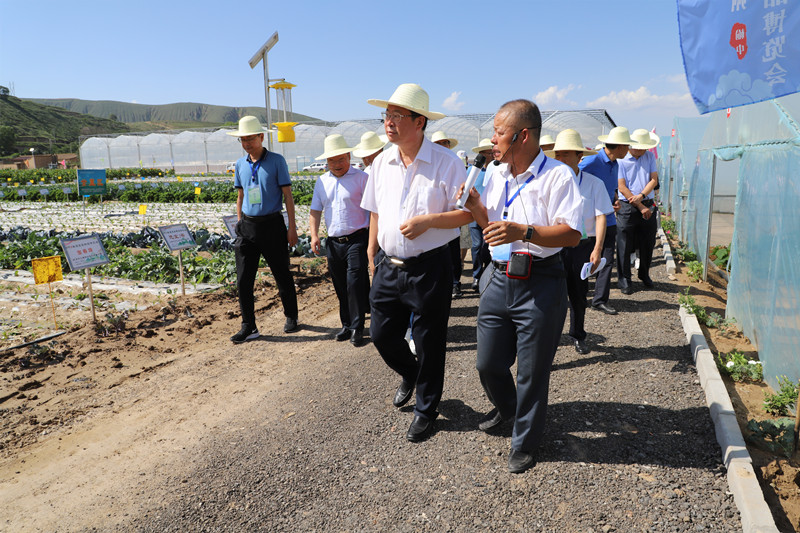 2020全省蔬菜产业现场观摩会在榆中县召开