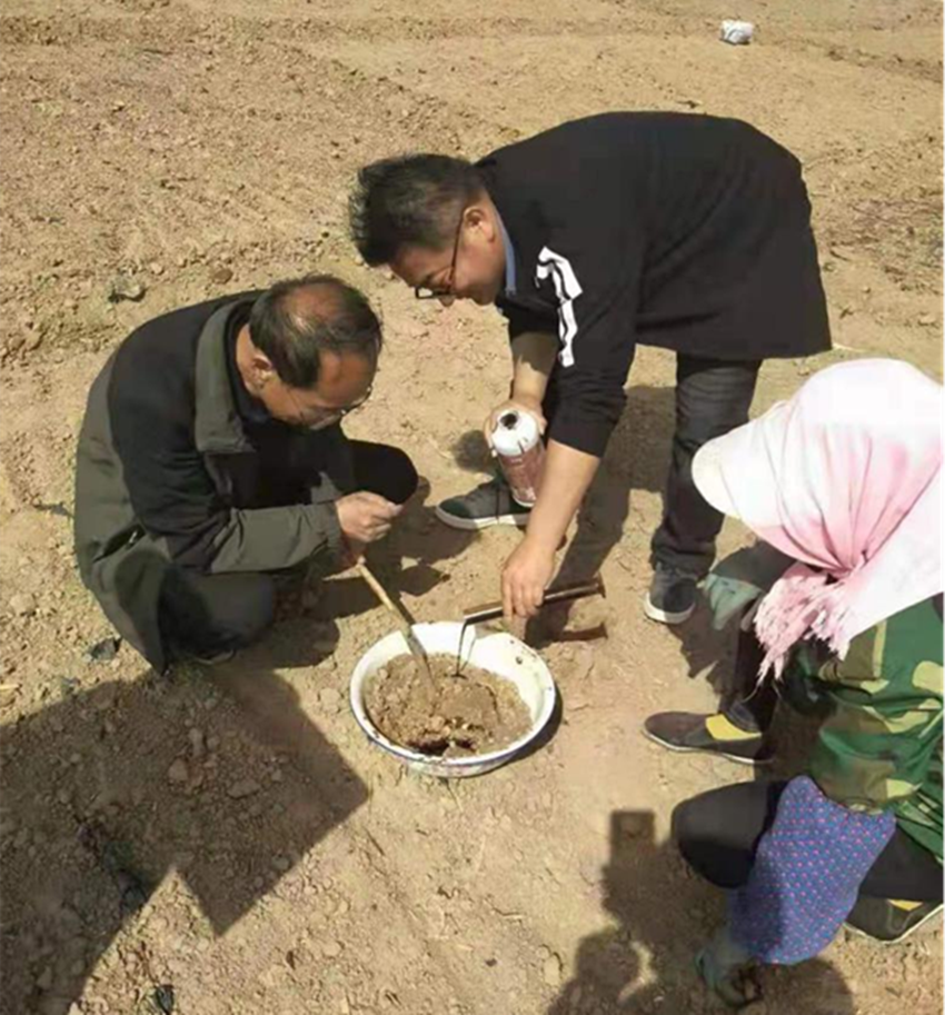临泽县农技中心突出重点项目提升项目实施绩效