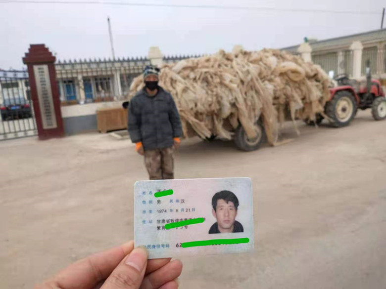 敦煌市废旧农膜回收让农户“获利”土地“受益”