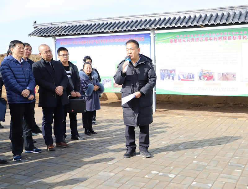 省农技总站牵头科技助力陇西元兴流域万亩中药材绿色标准化示范区建设