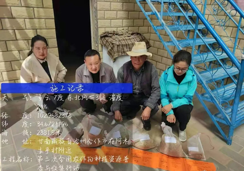 合作市农业农村局开展第三次种质资源普查与收集工作