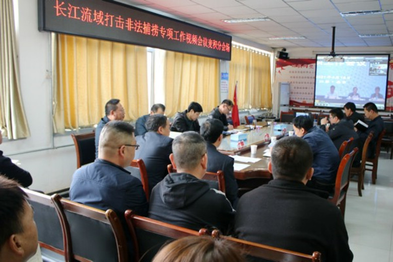 麦积区参加长江流域重点水域打击非法捕捞专项工作视频会并召开境内长江流域禁捕工作联席会
