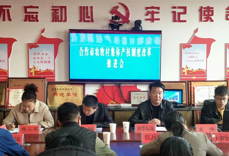 合作市召开农牧村集体产权制度改革推进会