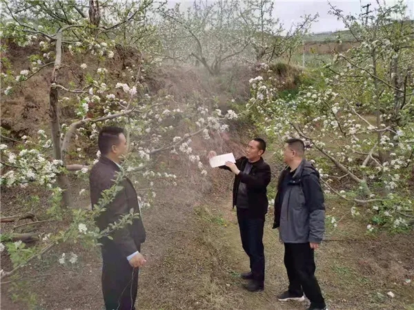 礼县农业农村局扎实开展农作物病虫害监测调查与防控物资储备工作