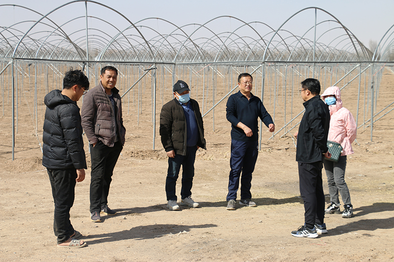 玉门市将在12乡镇推广实施退化耕地治理面积2万亩