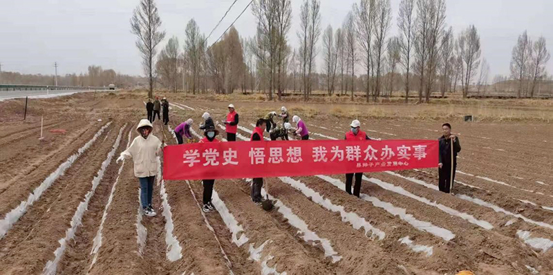 山丹县种子产业发展中心开展“我为群众办实事”主题实践活动
