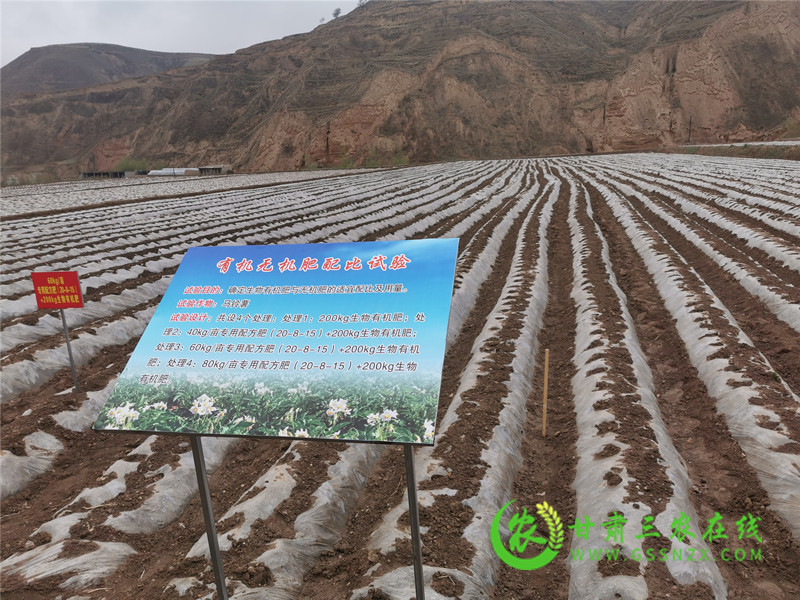 全省马铃薯绿色标准化基地建设现场推进会在临洮启动