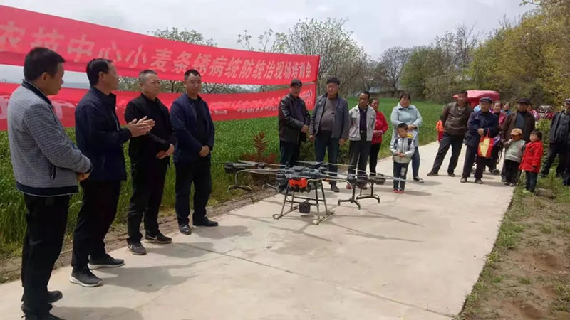 成县小麦重大病虫害防控工作全面展开