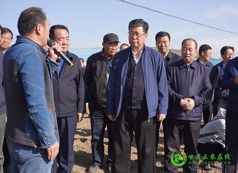 甘肃农业三年倍增行动马铃薯产值将达到400亿