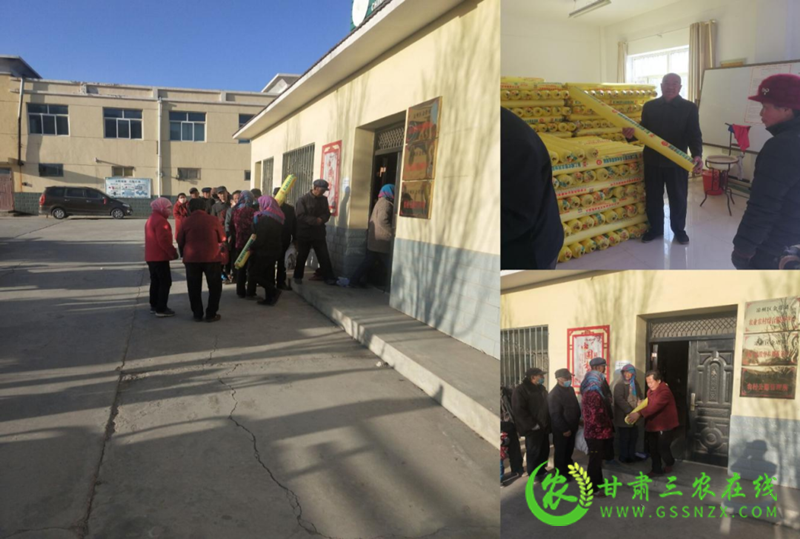 凉州区金塔镇回收利用废旧农膜不断提升耕地质量