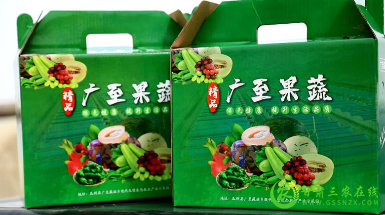 瓜州县因地制宜育产业提质增效促增收
