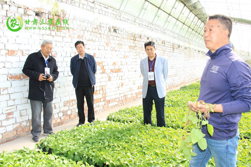 省种子总站通过抓点示范提升马铃薯产业标准化水平