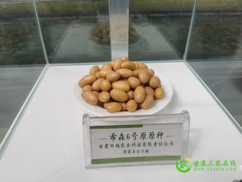 省种子总站通过抓点示范提升马铃薯产业标准化水平