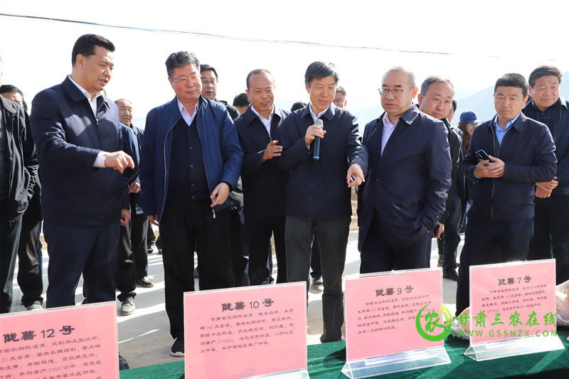 省种子总站注重展示示范引领推动马铃薯产业高质量发展