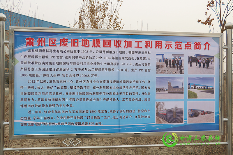 肃州区多措并举全面开展废旧农膜回收利用工作