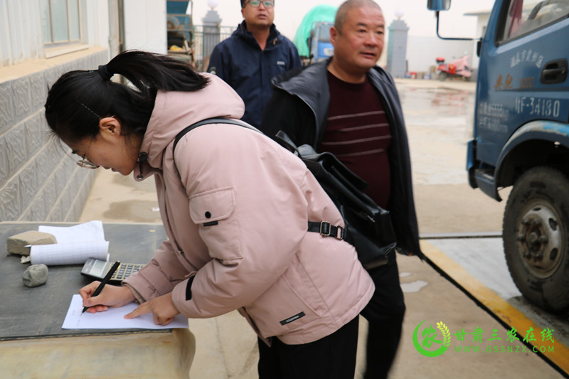 肃州区多措并举全面开展废旧农膜回收利用工作