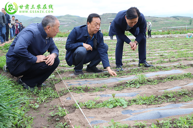 全省土肥水技术培训暨项目验收会在岷县召开