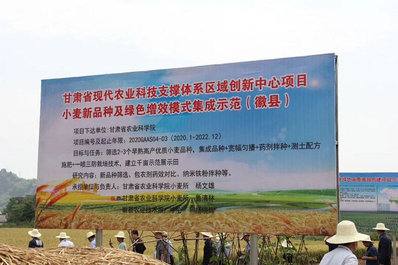 全省冬小麦新品种观摩暨良种联合攻关座谈会在徽县召开
