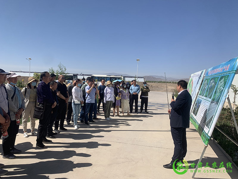 张掖市农业科技特派员在临泽县现代丝路寒旱农业产业园进行专题考察学习