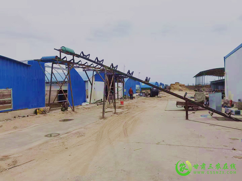 敦煌市推进畜牧业项目建设助力乡村振兴