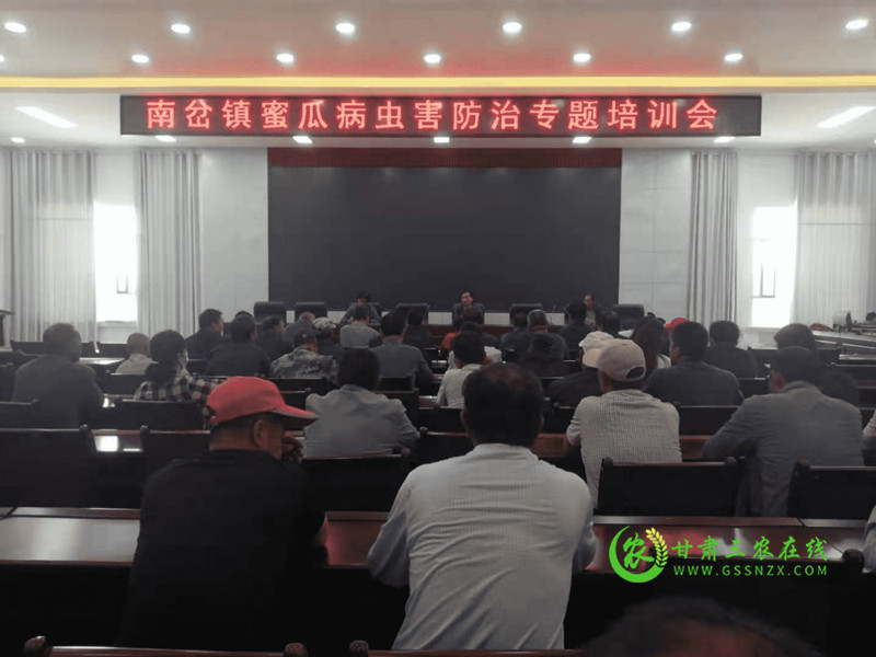 图为：召开蜜瓜培训会.jpg