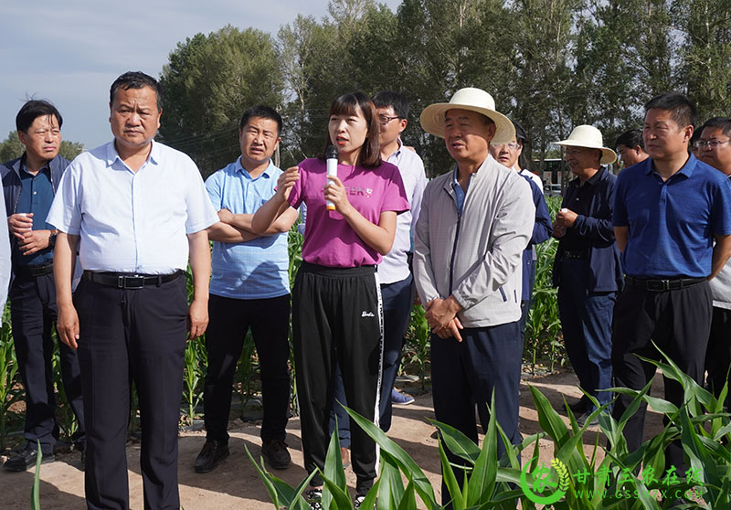 全省农技推广抓点示范现场观摩培训交流活动圆满结束