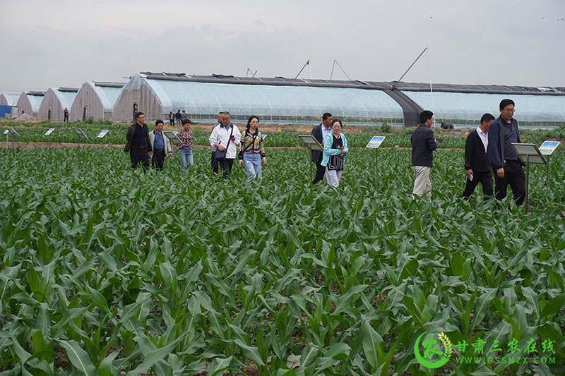 全省农技推广抓点示范现场观摩培训交流活动圆满结束