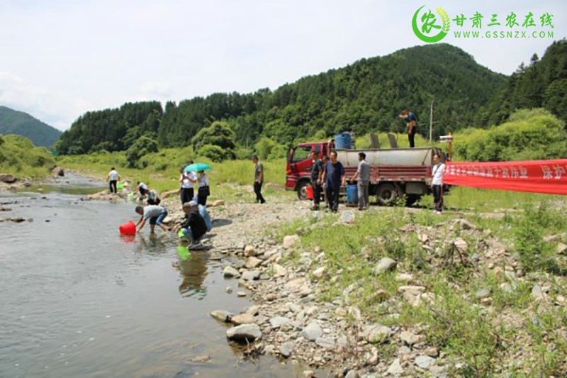 麦积区开展水生生物资源增殖放流活动