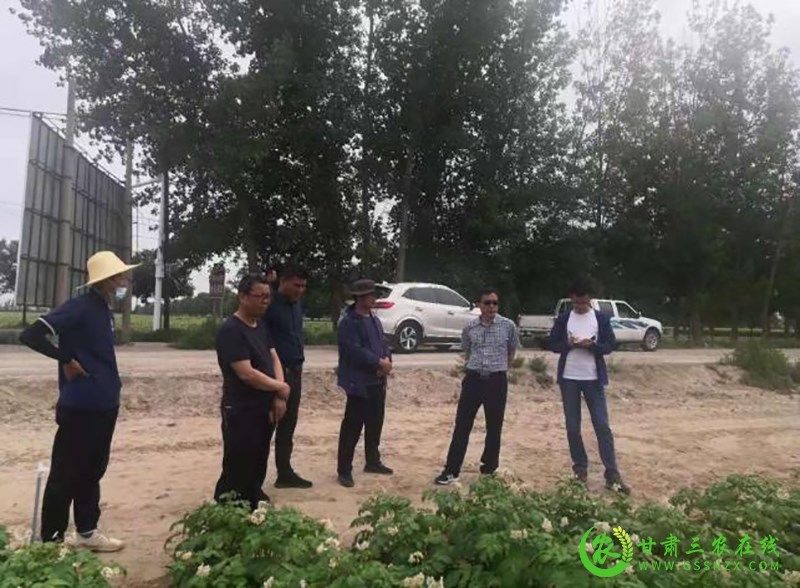 省农业生态总站调研督导景泰县农业生态与资源保护工作