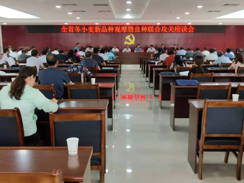 全省冬小麦新品种观摩暨良种联合攻关座谈会在徽县召开