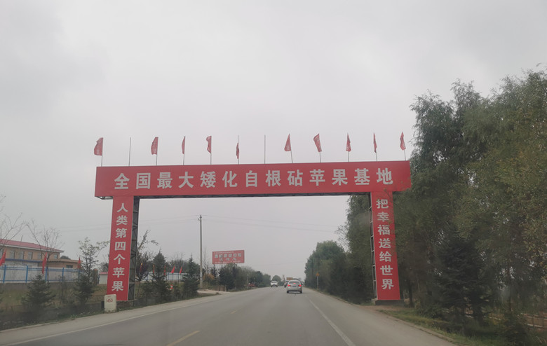 宁县开展果园托管服务尝试闯出脱贫致富新路子