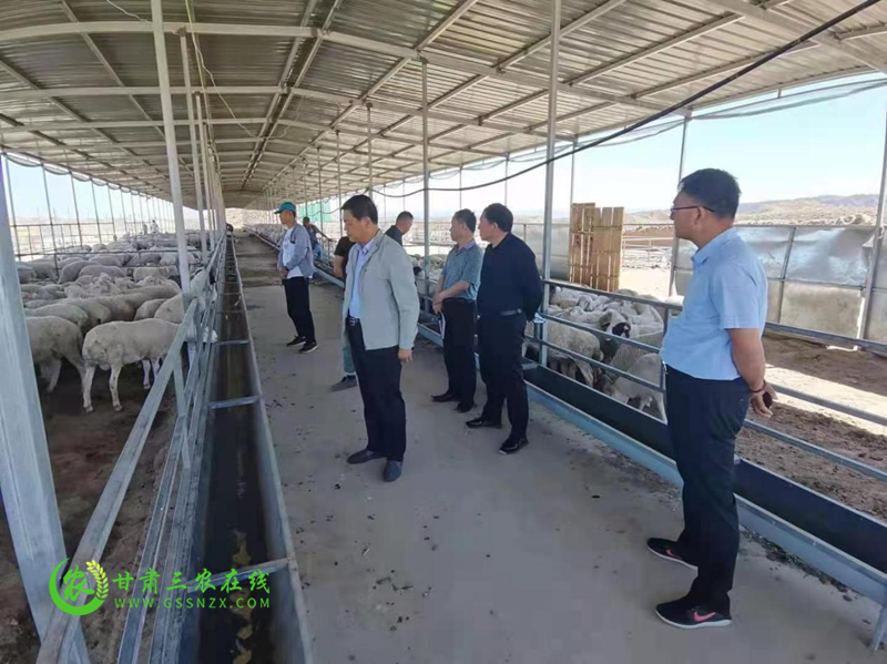 白银市畜牧兽医总站积极推进畜牧业优势特色产业抓点示范工作