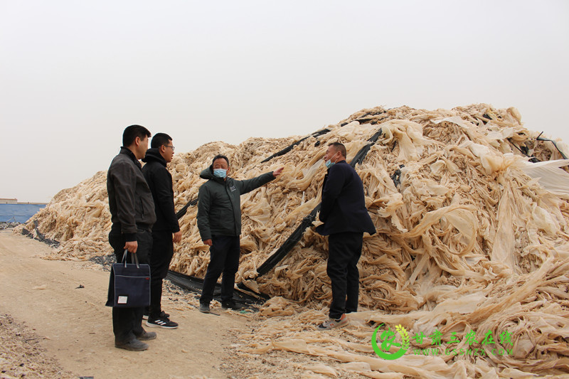 敦煌：多举并措加大废旧农膜回收力度，减少“白色污染”