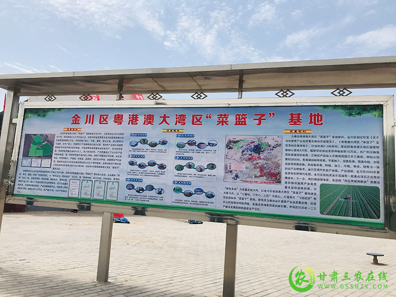 金川区实施果菜茶有机肥替代化肥项目助力产业融合发展农民增收