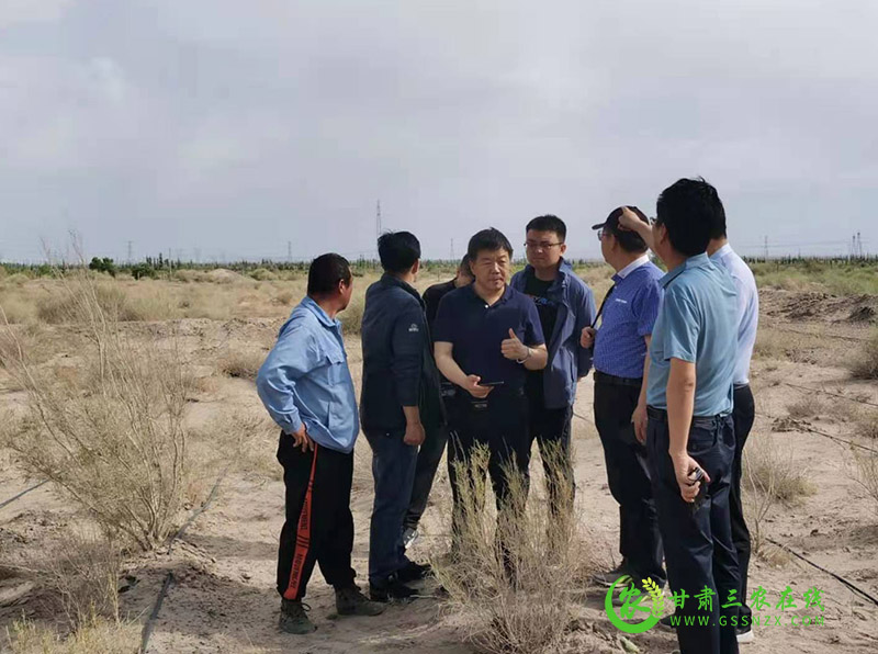 省农检中心党委书记满润一行赴瓜州县检查有机食品认证工作