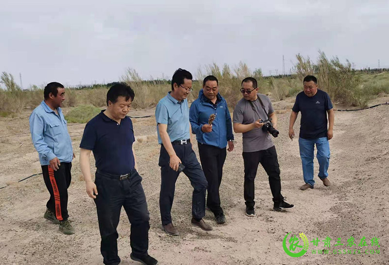 省农检中心党委书记满润一行赴瓜州县检查有机食品认证工作