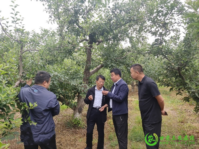 省植保法律法规贯彻落实及重点工作督导组在武威调研