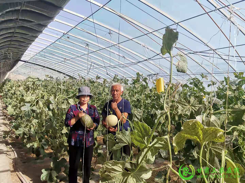 瓜州县设施农业“种”出致富好“钱”景　