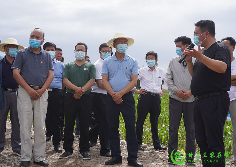 全省农技推广抓点示范现场观摩团赴肃州区观摩现代农业发展建设情况