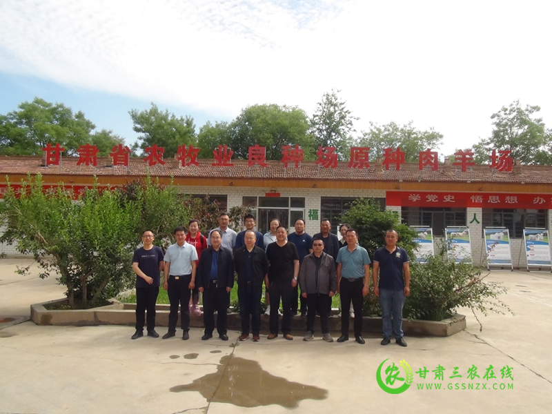 国家绒毛用羊产业技术体系首席科学家赴省畜牧总站农牧业良种场调研