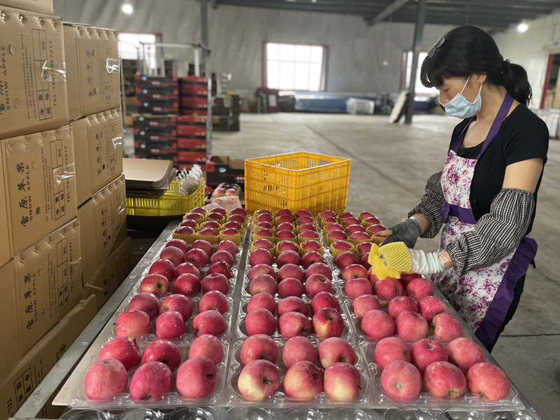 全省农产品产地冷藏保鲜设施建设现场推进会观摩在秦安启动