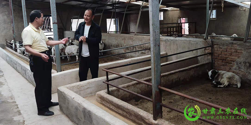 省畜牧技术推广总站督导东乡县抓点示范高起点推进
