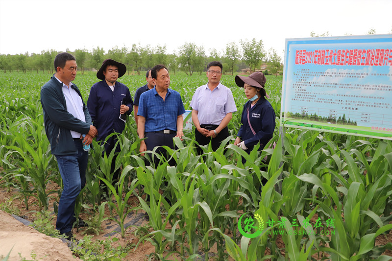 省耕保总站肯定临泽县联合科研院所开展土壤障碍因素技术攻关