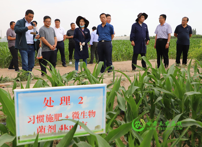 省耕保总站肯定临泽县联合科研院所开展土壤障碍因素技术攻关