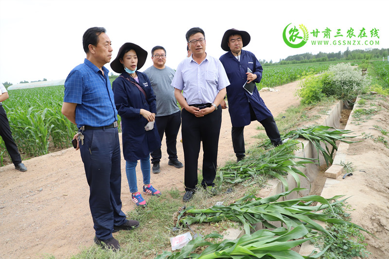 省耕保总站肯定临泽县联合科研院所开展土壤障碍因素技术攻关