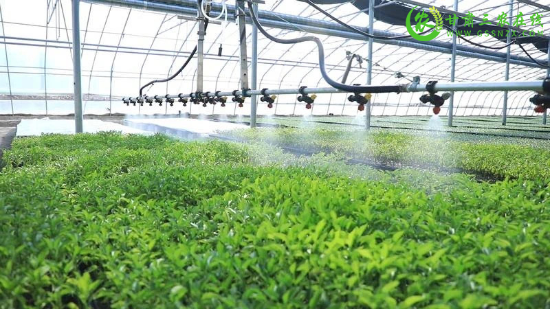 瓜州县多管齐下综合施策 推进节水型社会建设