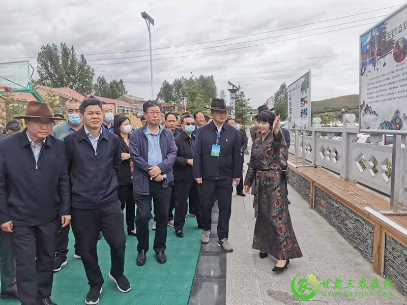 全国村庄清洁行动现场会观摩今天在合作市和夏河县举行