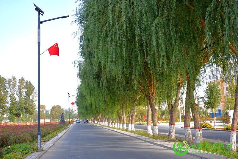 瓜州：路通景美百姓富